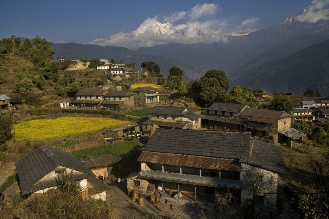 MWC023682