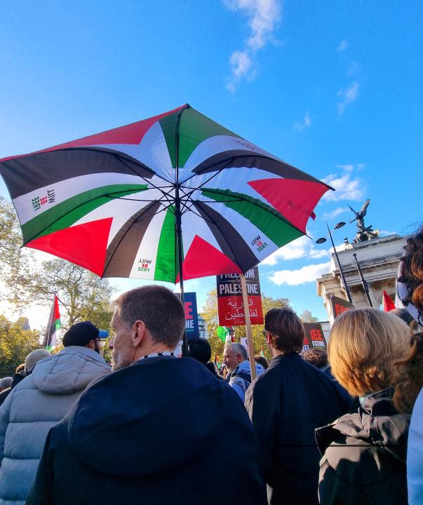 Over 300,000 Pro-Palestinians marched from Hyde Park to the USA embassy in London, on the afternoon of 11th November 2023, protesting against the war and urging an immediateÂ ceasefire