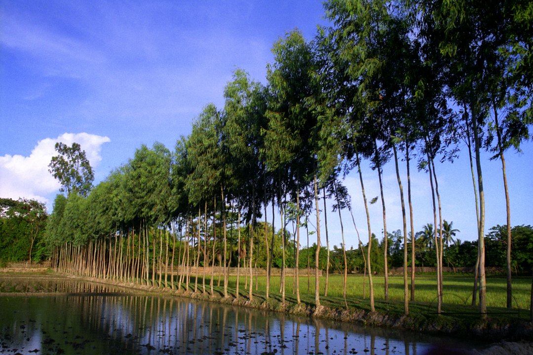 MWC020651