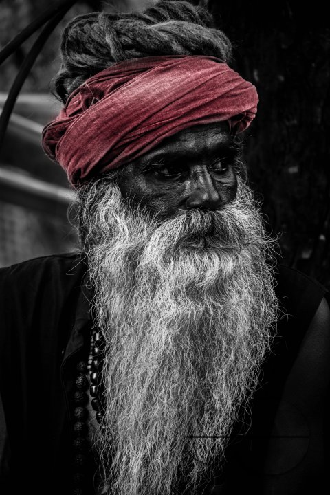 Relgious Elder