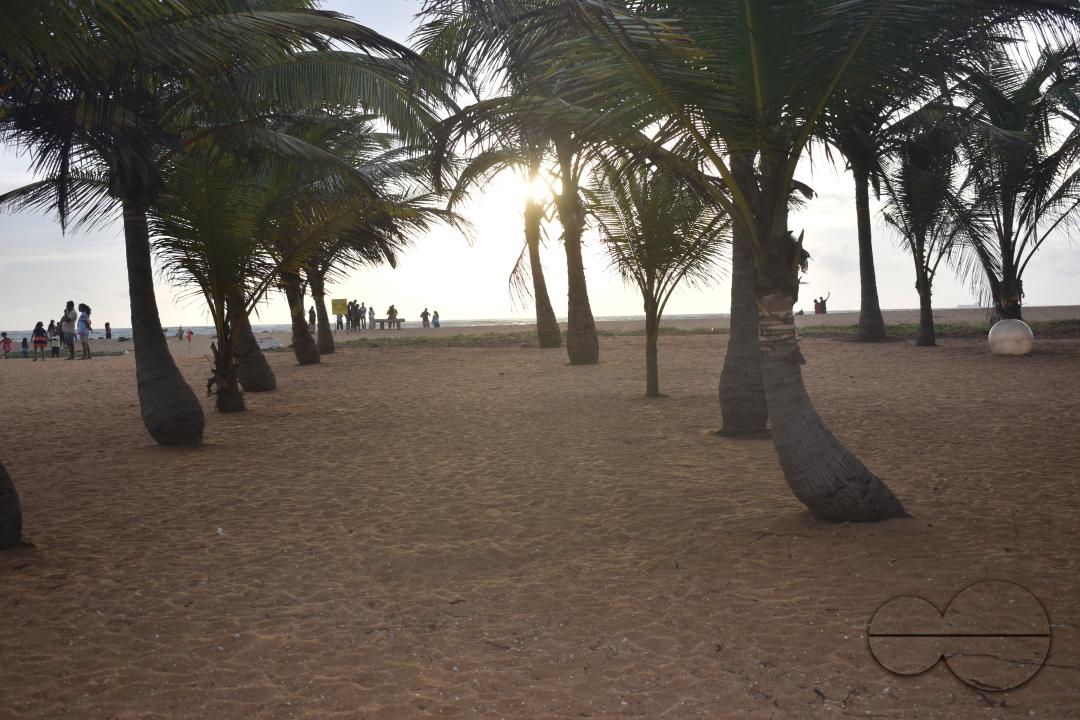 MWC051016