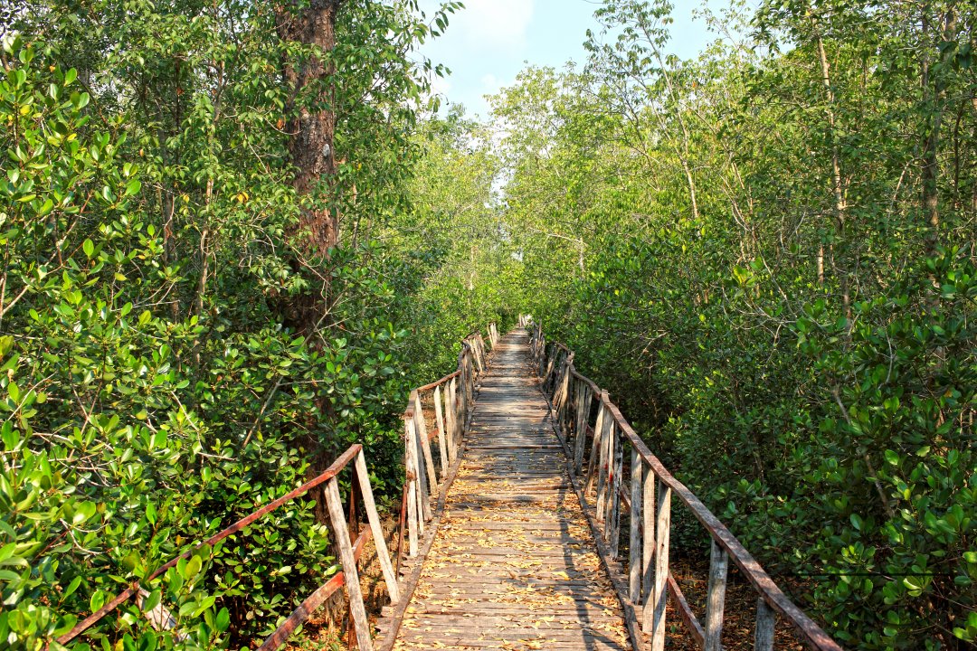 MWC024154