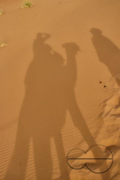 Shadow of the Camel and rider on the sand of the Sahara desert