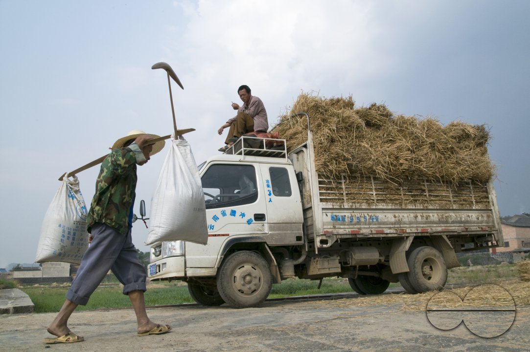 CHINA Truck loaded with hay during harvest time in Yunnan province.