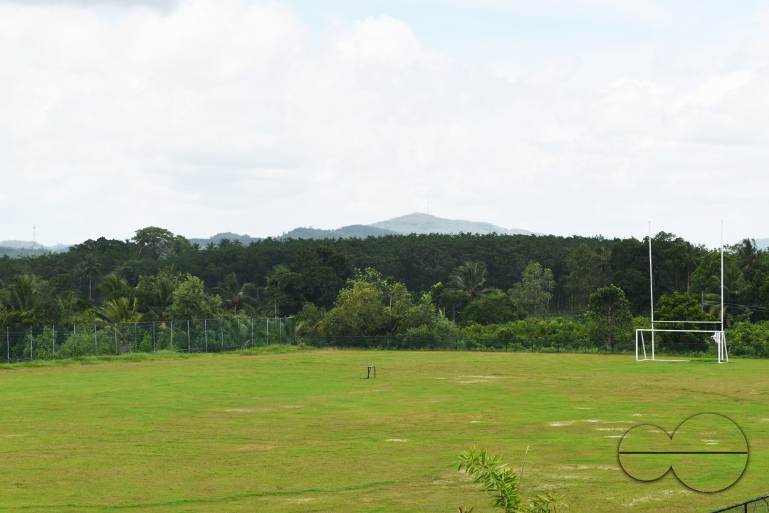 MWC040954
