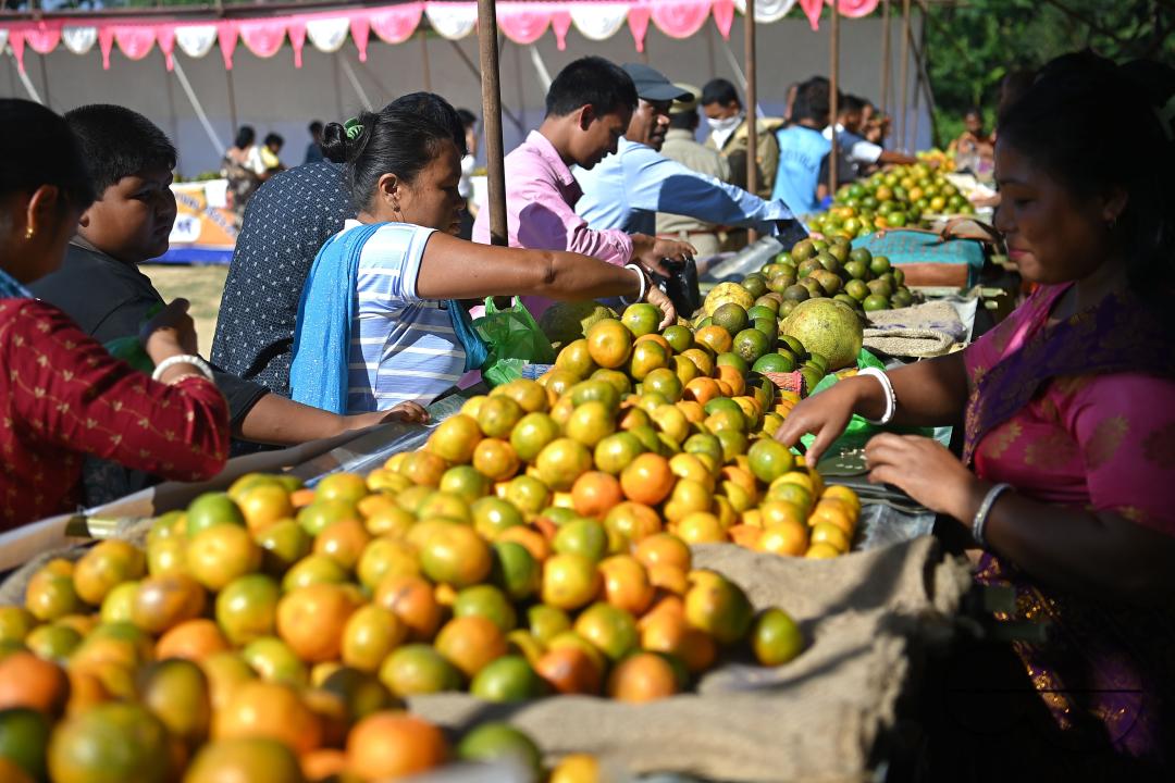 People are buying oranges during the Orange Festival in Taibaglai Village (Killa) organized by the Agriculture and Farmers Welfare of Tripura