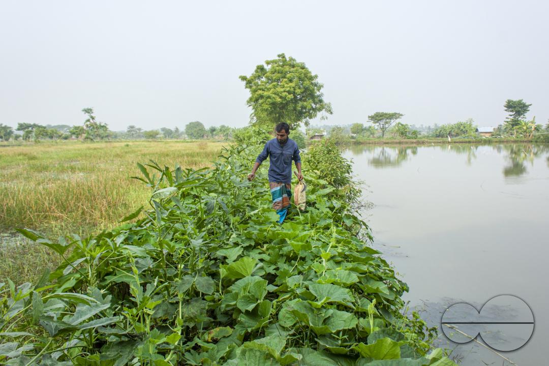 Bangladeshi farmers growing vegetables near a stream