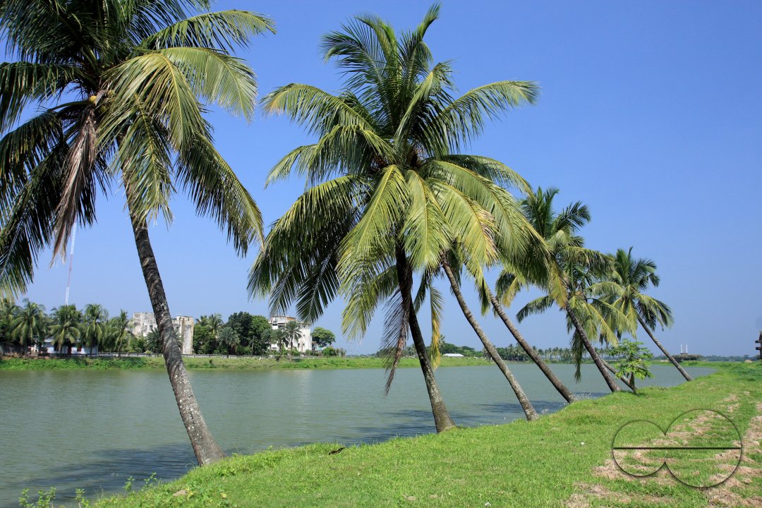 MWC020626