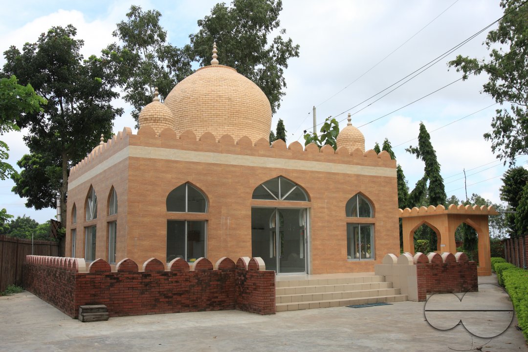 MWC017317