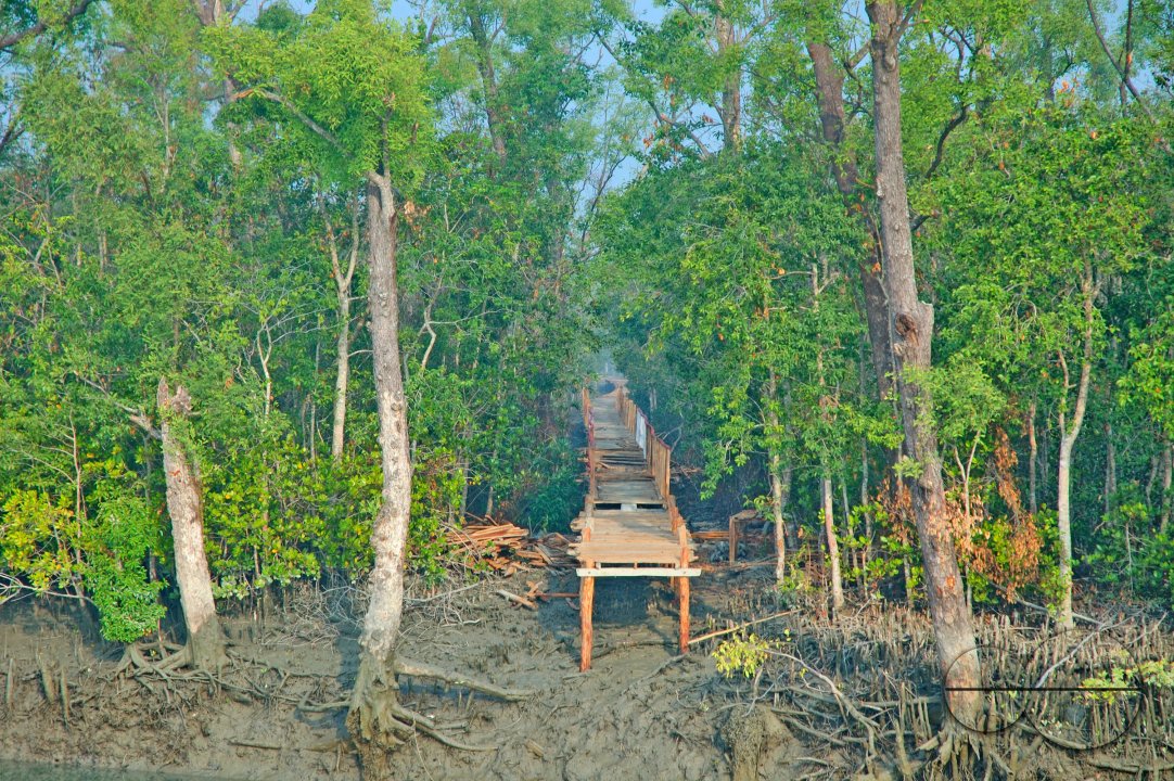Sundarbans, Khulna, Bangladesh