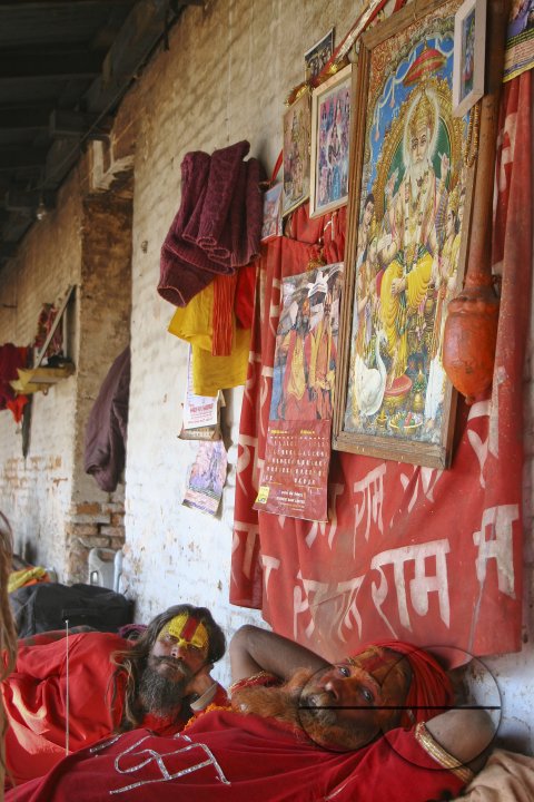 Maha Shivaratri
