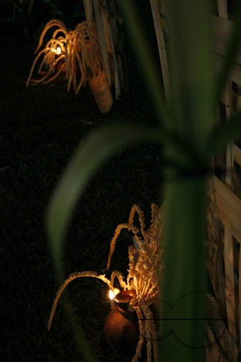 MWC020271