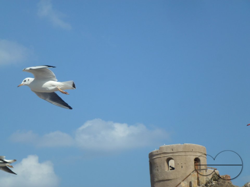 Muscat, Oman