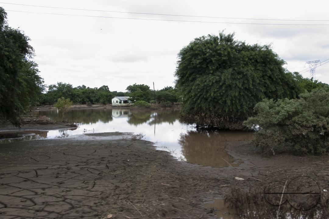 MWC045732