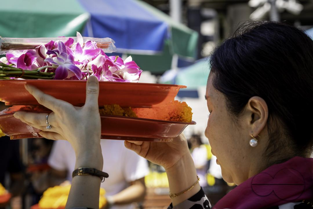 In the heart of downtown Bangkok, a woman's reverent prayer unfolds at the Erawan Shrine, her hands cradling a basket adorned with orchids