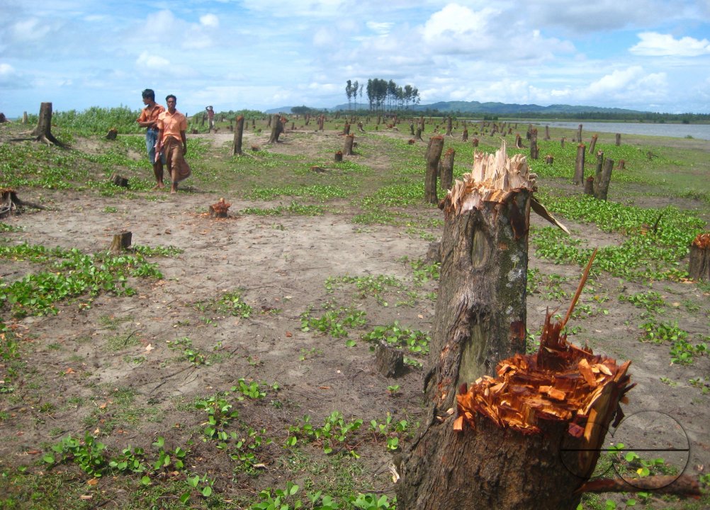 Land gravers at Teknaf