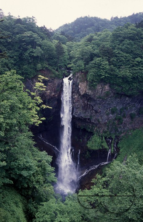 MWC003734