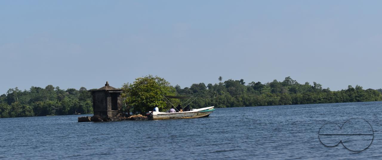 MWC044905