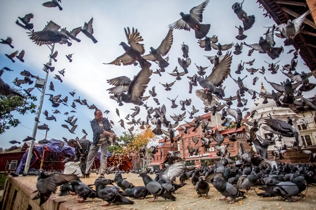 Kathmandu Cultural Heritage Sites Damaged in Earthquake