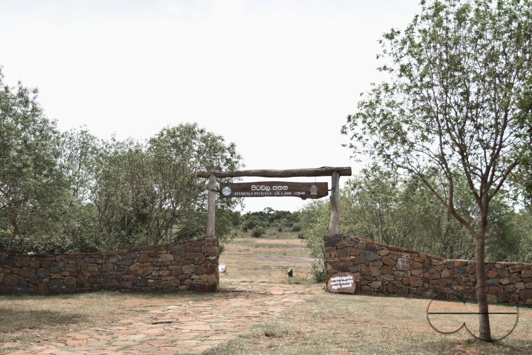 MWC031449