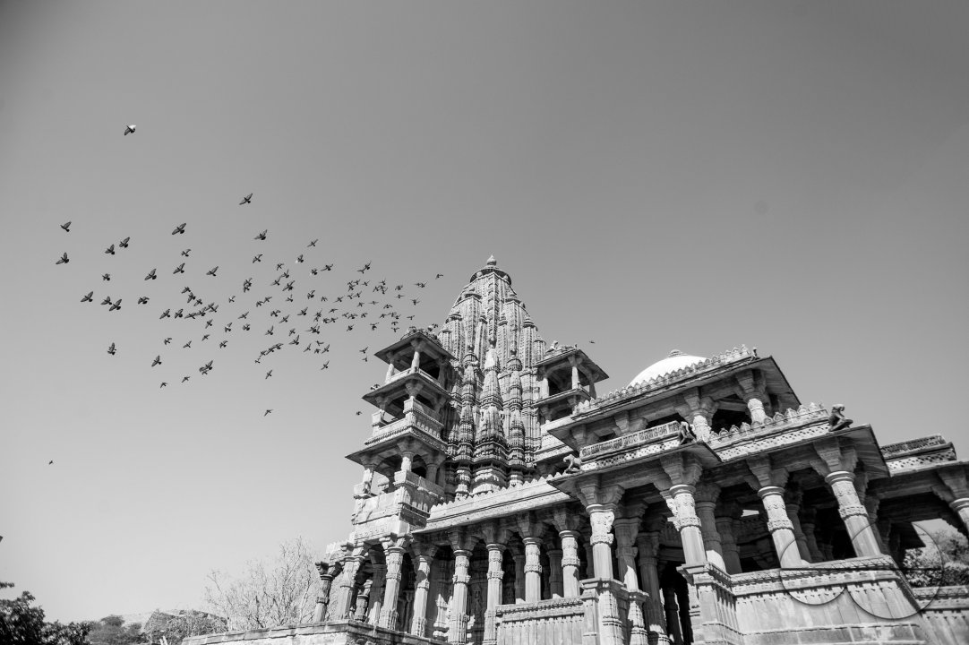 Pigeons fly in the ancient temple complex of Mandore.