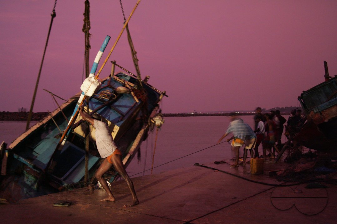 Tsunami Photos