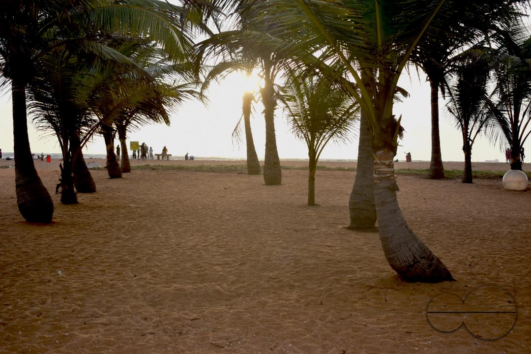 MWC051017