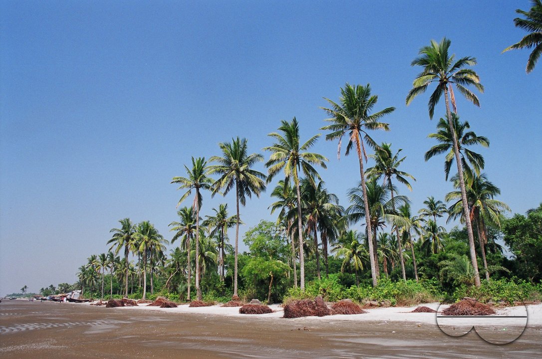 MWC018247