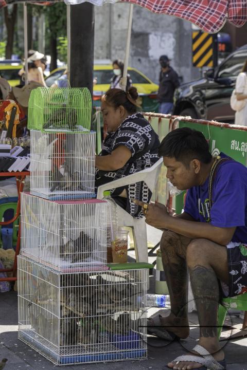 At the entrance of the Erawan Shrine in downtown Bangkok, a street vendor offers live pigeons for sale, destined to be released as offerings