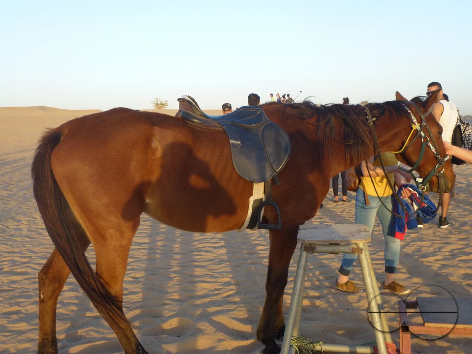 Holiday in Dubai