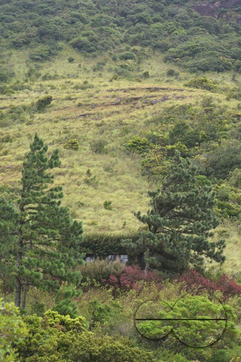 MWC031425