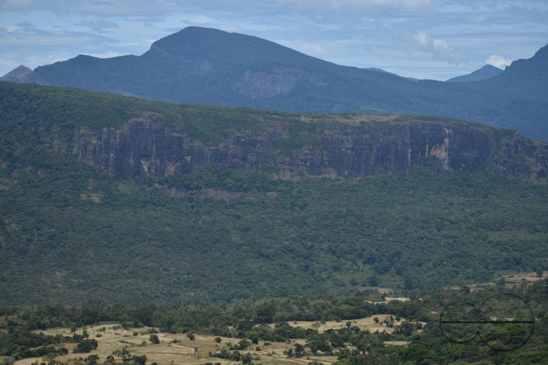 MWC031492
