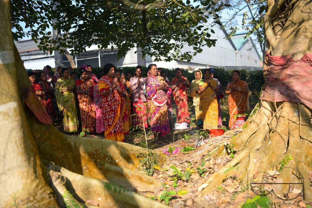 MWC045625