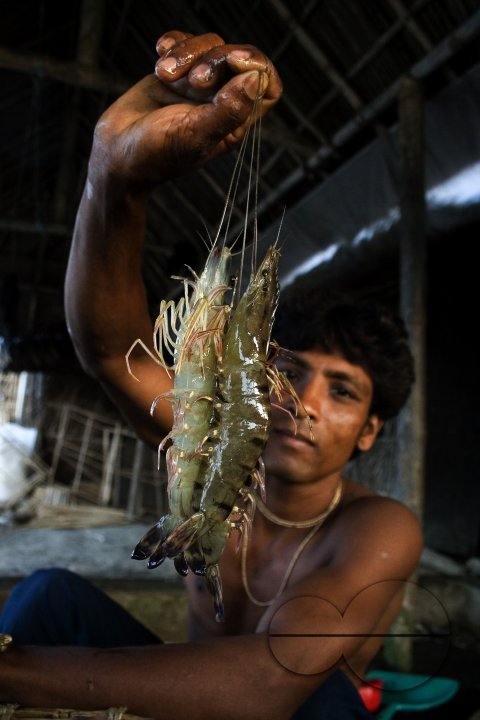 Palanquin_Bangladesh