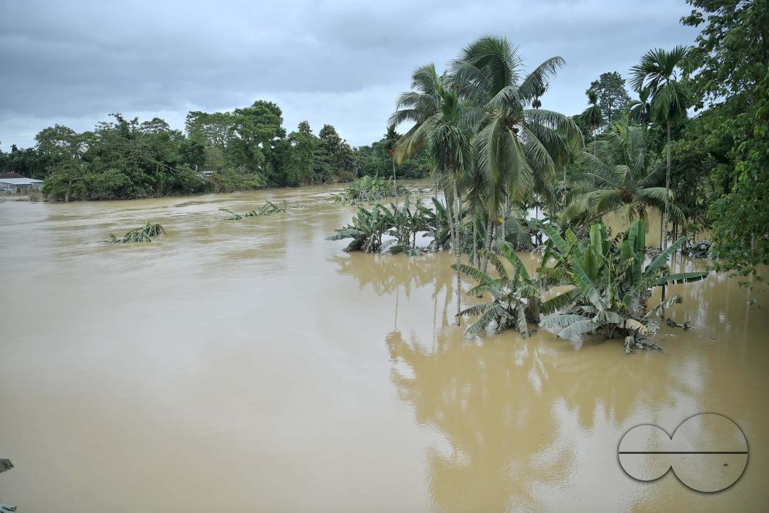 An agricultural field immersed in flooded water, outskirts of Amarpur city, 82km away from Agartala