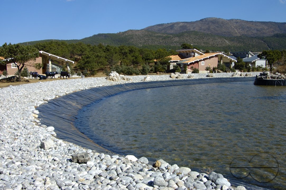 MWC012249