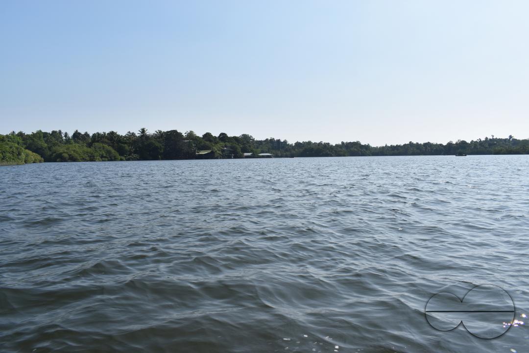 MWC051193