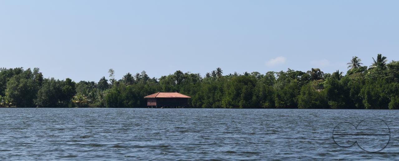 MWC044894