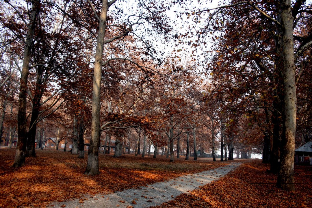 MWC024271