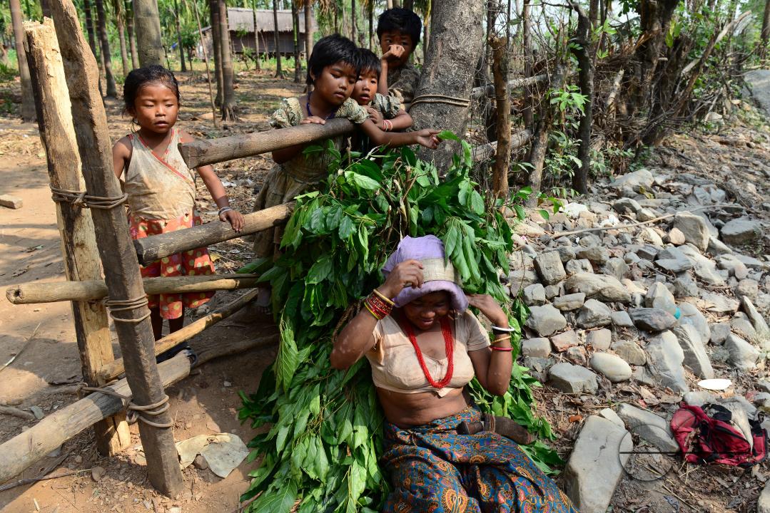 Totos are one of the most primitive communities in the world and this isolated tribal group resides only in Totopara at the foot of the Himalayas just to the borderline between West Bengal and Bhutan