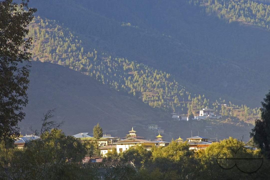 MWC004419