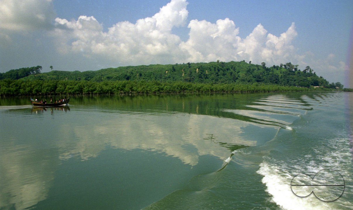 MWC003754