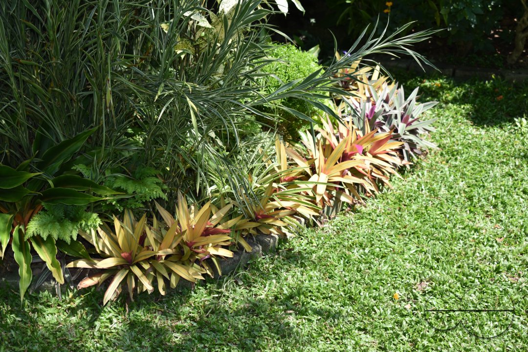 MWC034610