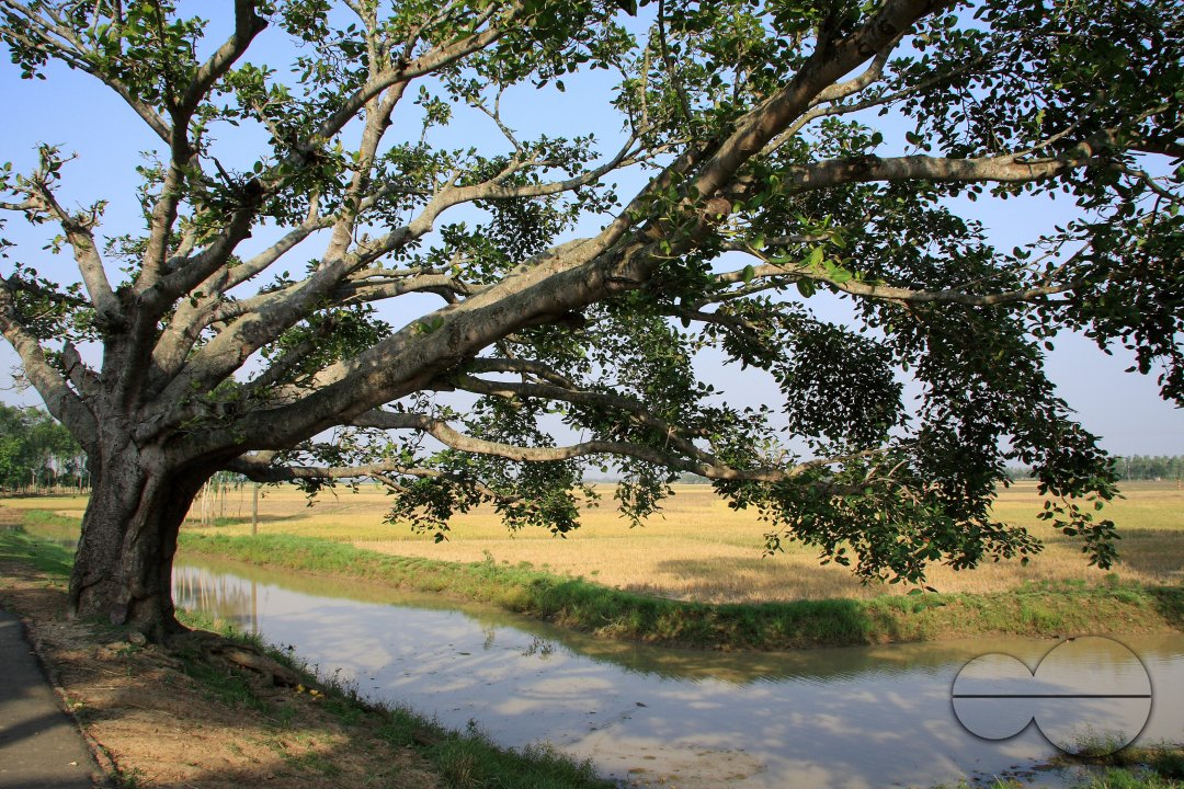 MWC020634