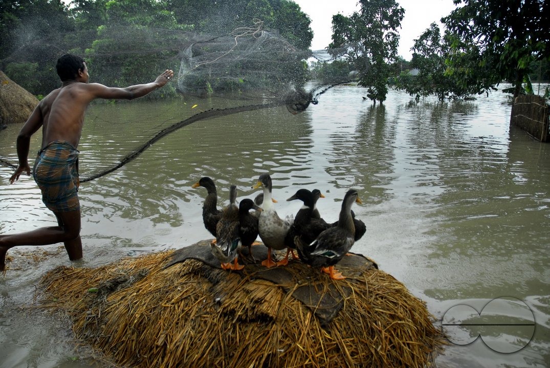 Huge damage at Sirajgonj because of flood