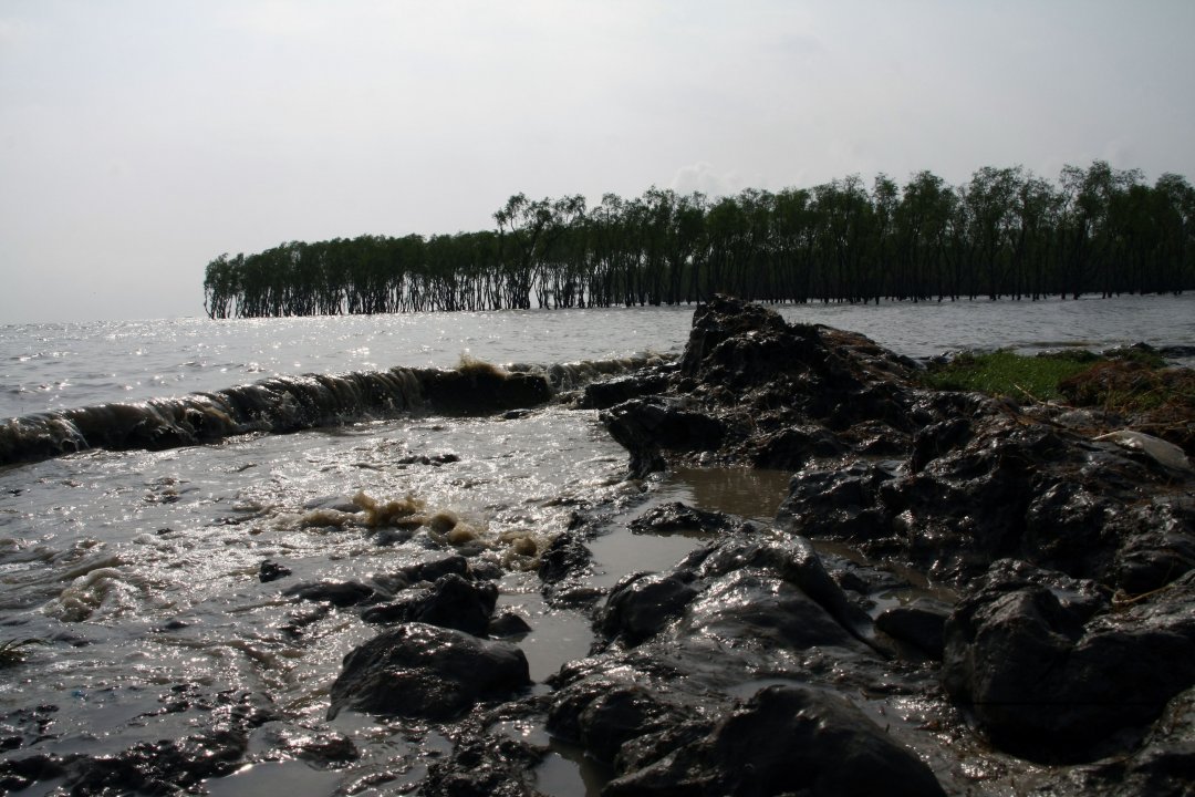 MWC004723