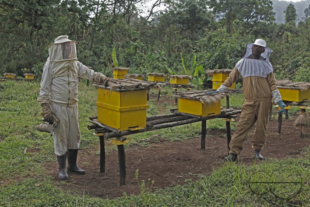 MWC026764