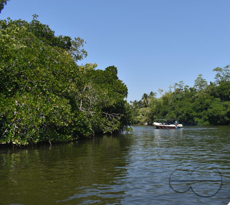 MWC044884