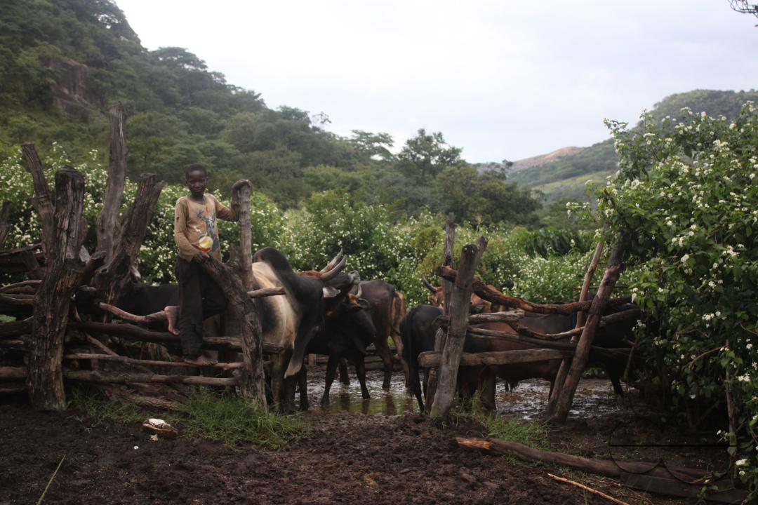 MWC045661