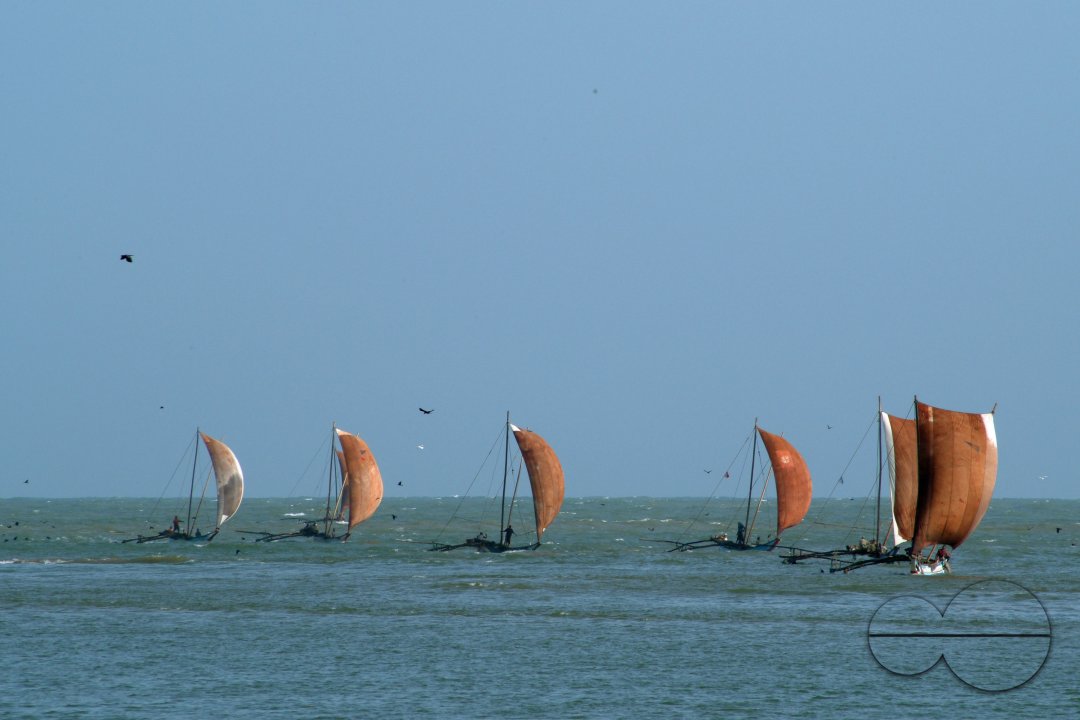 MWC002552